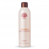 Naturalmente Shampoo Antiossidante