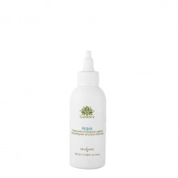 Naturalmente - Elements Acqua rinnovatore capillare spray 100ml