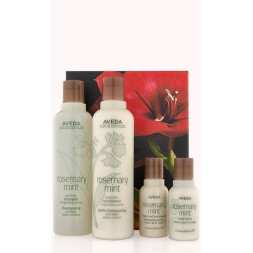 Aveda - Rosemary mint invigorating hair and body care Kit