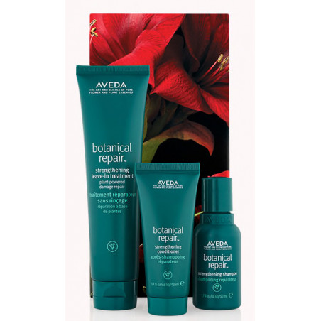 Aveda - botanical repair™ strengthening hair trio