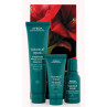 Aveda - botanical repair™ strengthening hair trio
